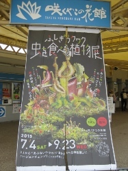 虫を食べる植物展01.jpg